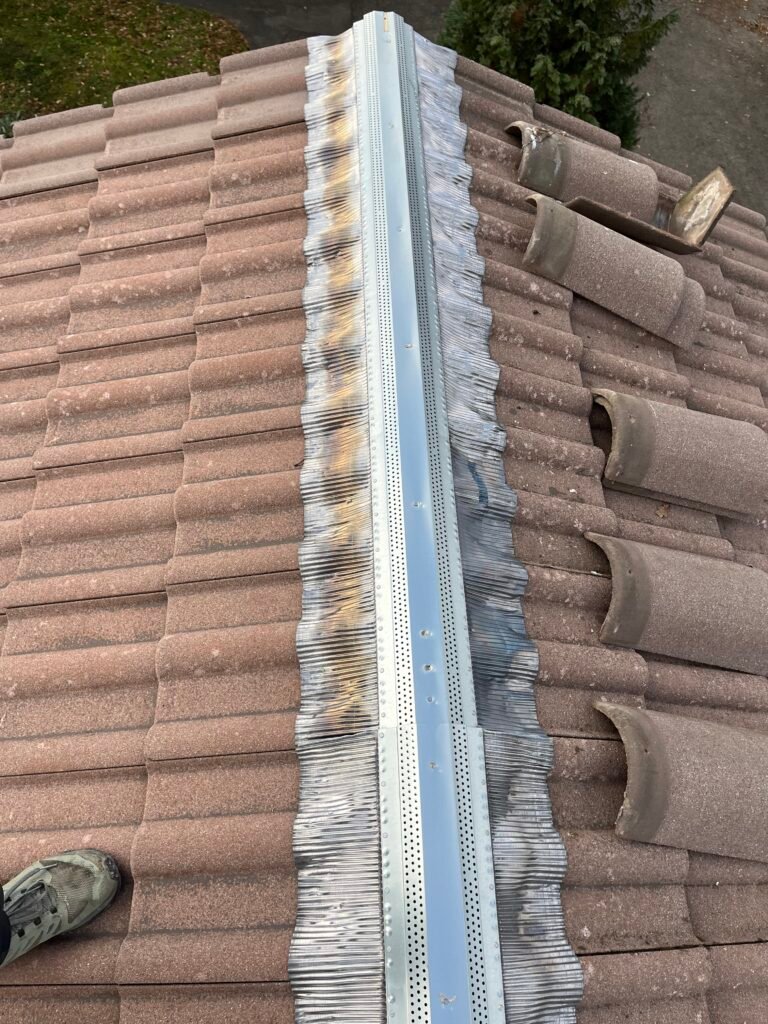 Rénovation de faitage et toiture à Saint-Julien-en-Genevois