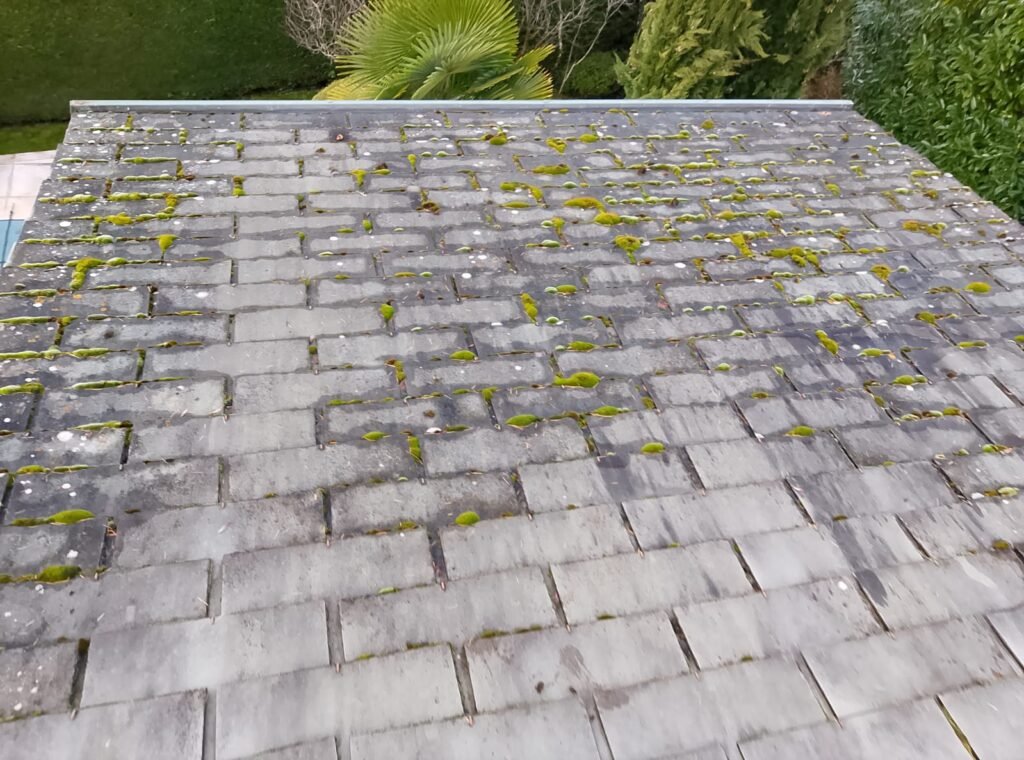 Artisan préparant son matériel (pulvérisateur, échelle sécurisée)