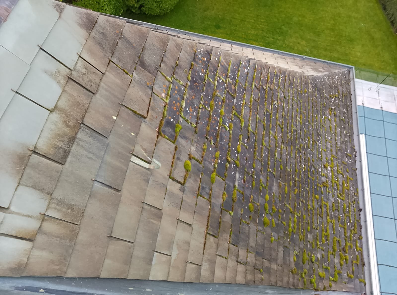 Toiture très sale avec beaucoup de mousse épaisse