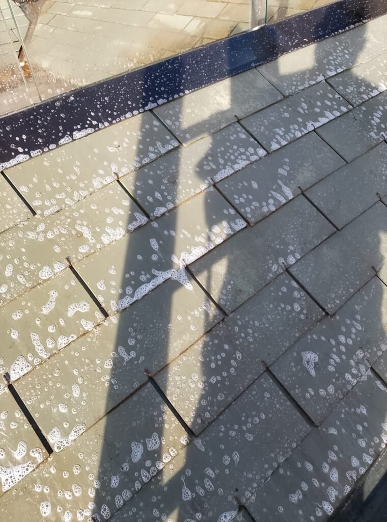 Toiture en ardoise avant / après démoussage (si possible)